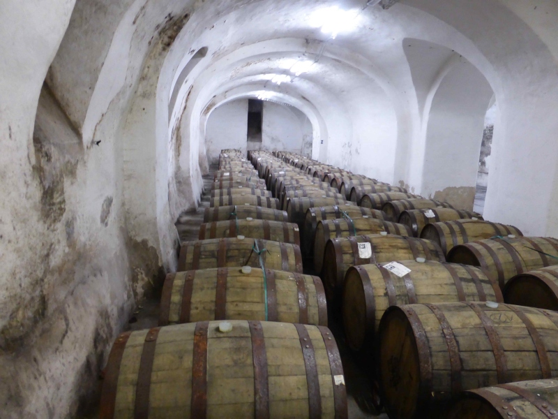 2023 Zywiec 06